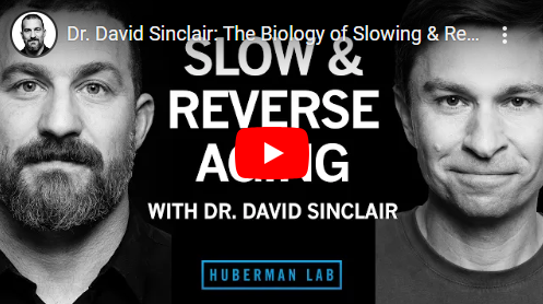 David Sinclair | The Biology of Longevity | Huberman Labs ...